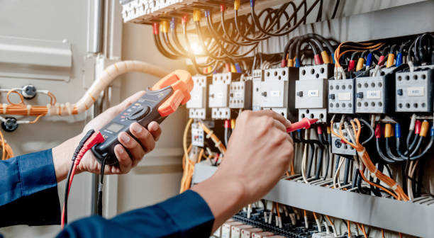 Best Local Electrician Companies  in Dagsboro, DE