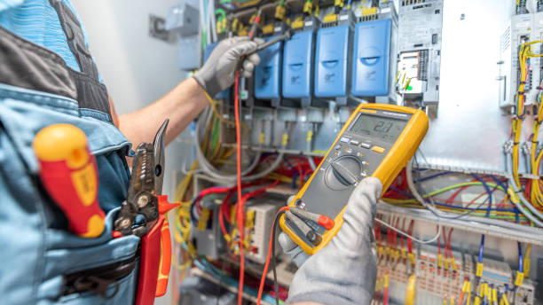 Best Electric Panel Repair  in Dagsboro, DE